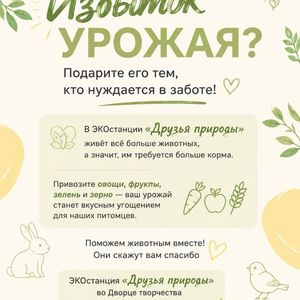 🌿 Избыток урожая? Поделитесь с теми, кто нуждается в заботе! 🐾