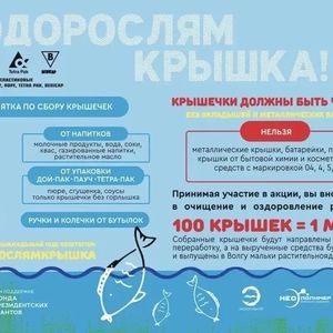 В рамках межрегионального экологического проекта «Водорослям — крышка. Амбассадоры рек» во Дворце творчества детей и молодёжи организован сбор пластиковых крышек ♻️